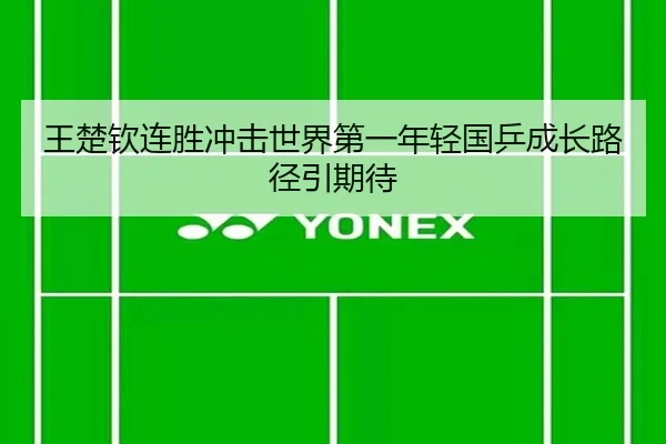 王楚钦连胜冲击世界第一年轻国乒成长路径引期待 - LEYU